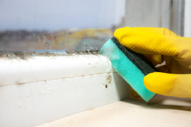 Water Damage Restoration in Bermuda Run, NC